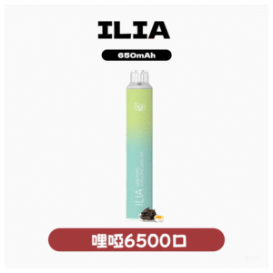 ILIA BAR4哩啞四代一次性抛棄式電子煙 6500口【23種口味】